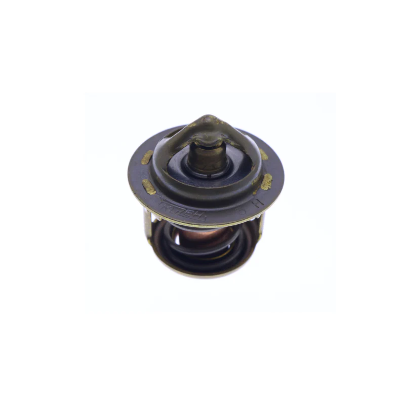 Aftermarket Thermostat 145206320 for 404D 643 673 Engines