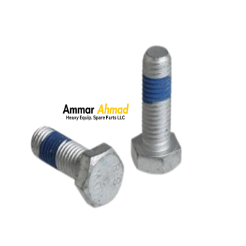1321/0509-Bolt - Patch Lock